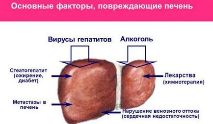 Doctorul dietetician sfaturi despre cum să piardă în greutate și meniuri de la un nutritionist