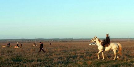 Всеукраїнські змагання хортів 2013 - про полювання і собаках