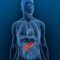 Pancreatita cronică cauzează, simptome și tratament