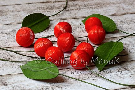 Cherry boabe în tehnica quilling