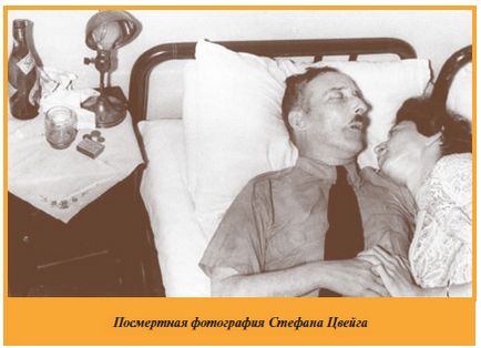 Viața și moartea lui Stefan Zweig prin ochii unui medic, ediția online - știri de medicină și farmacie