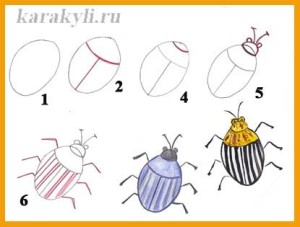 Жуки - поетапне малювання з дітьми комах, каракулі