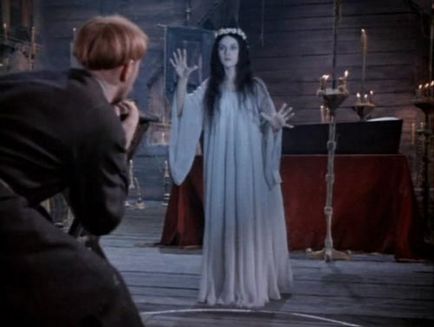 Misadventures a film Misadventures a film „VIY”