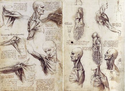 10 tény az élet a Leonardo da Vinci