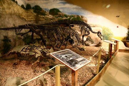 10 Fabulous múzeumok dinoszauruszok