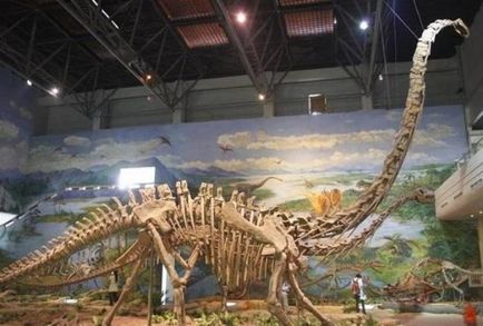 10 Hihetetlen múzeumok dinoszauruszok (dinoszauruszok) 10 Fabulous múzeumok dinoszauruszok