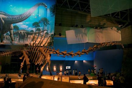 10 Fabulous múzeumok dinoszauruszok