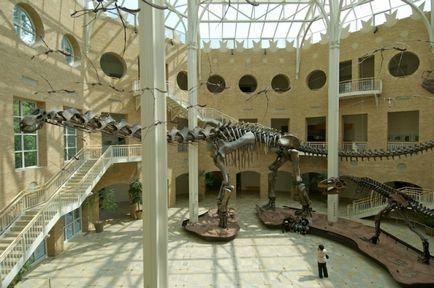 10 Неймовірних музеїв динозаврів