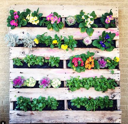 18 moduri de a aranja o grădină pe balcon și de a construi flori magnifice de înflorire, o casă frumoasă și grădină