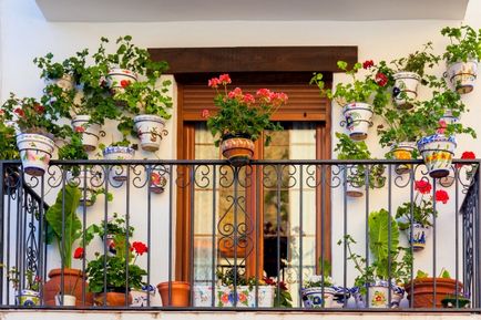 18 moduri de a aranja o grădină pe balcon și a construi flori magnifice înflorite, o casă frumoasă și o grădină