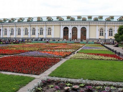 Alexander Garden - Moscova, fotografie, istorie, unde este, planul, modul de funcționare