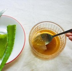 Aloe cu rețetă de miere pentru tuse pentru copii și adulți