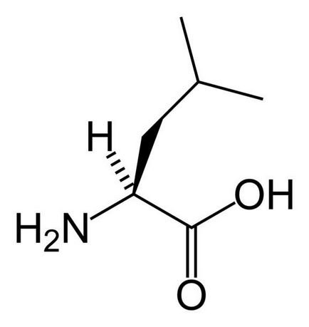 Амінокислоти bcaa користь, шкода і побічні ефекти