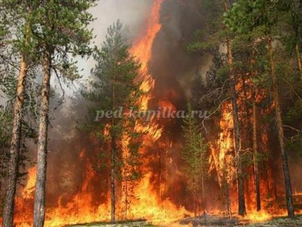 Аплікація для дітей «бережіть ліс від пожежі! »Майстер - клас з покроковими фото