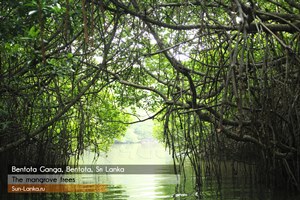 Bentota (bentota), plaje din Sri-lanka, fotografie, râu