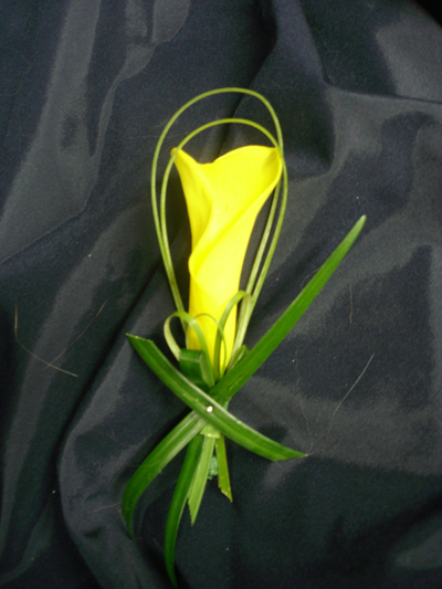 Boutonniere de la callà