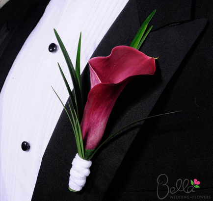 Boutonniere de la callà