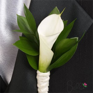 Boutonniere de la callà