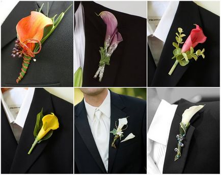 Boutonniere de callas - sfaturi despre alegere, combinație cu alte culori, clasă de masterat de fabricație, fotografie