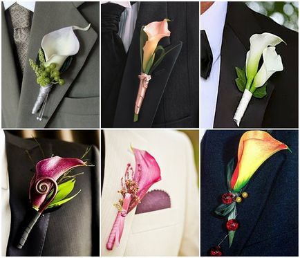 Boutonniere de callas - sfaturi despre alegere, combinație cu alte culori, clasă de masterat de fabricație, fotografie