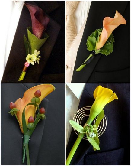 Boutonniere de callas - sfaturi despre alegere, combinație cu alte culori, clasă de masterat de fabricație, fotografie