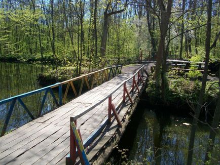 Бюджетна ідея для вікенду трикратський ліс - Арбузинський і Актовський каньйон