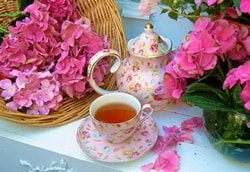 Vindecarea ceaiului din hortensie