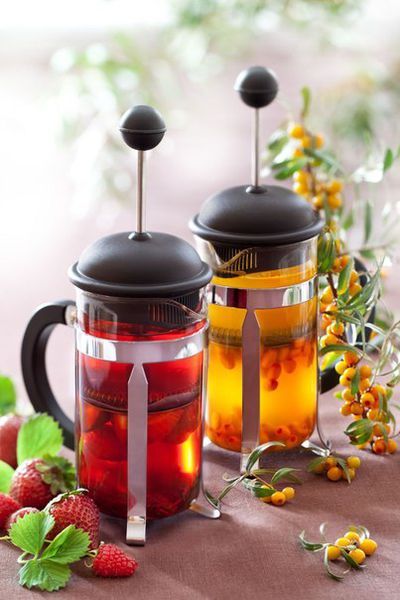 Tea homoktövis bogyók hasznot csodálatos és egyszerű receptek