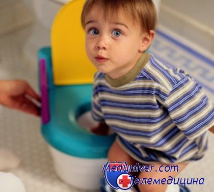 Mi különbözteti meg a bankot, fiúk válasszon egy praktikus pot baba (kiválasztás) Mi különbözteti meg a bankot, fiúk válasszon egy praktikus pot baba