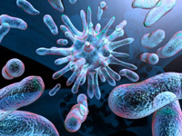 Cât de mult se manifestă tuberculoza după infecție?