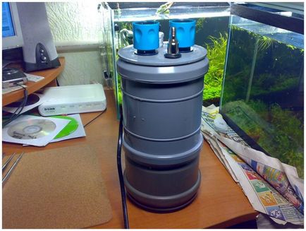 Що потрібно для домашнього акваріума - компресор, грунт, фільтр, рослини