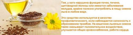 Що корисніше - насіння льону або льняне масло вітаміни, мінерали, омега-3