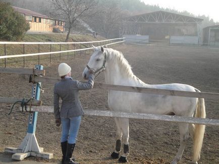 Ce merită să vedeți în cele mai interesante locuri ale lui Aeger