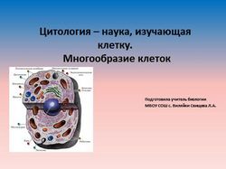 Citológia - kutató tudomány sejtek - Kutatás kézikönyve