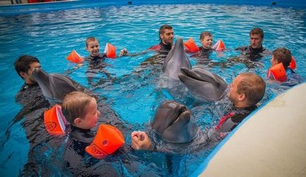 Dolphin terápia - egy lélegzetnyi egészséges élet bénulás