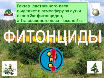 Дошка підлоги особливості сухих, клеєних, зрощених виробів, розміри, калькулятор, розрахунок, фото, відео