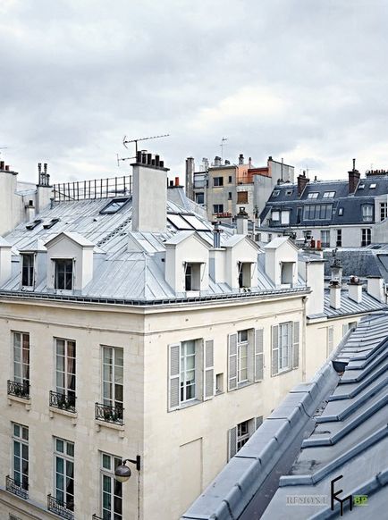 Дворівнева квартира в старому паризькому будинку французького інтер'єр на фото