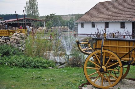 Егер - пам'ятки, ресторани, їжа, вино - що подивитися в Егері