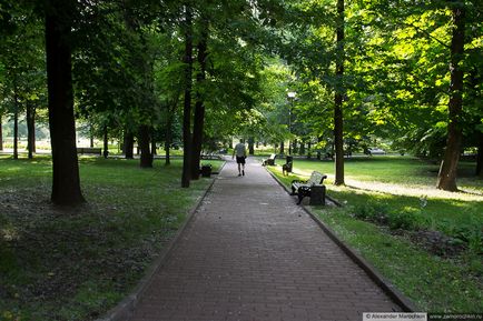 Катерининський парк в москві