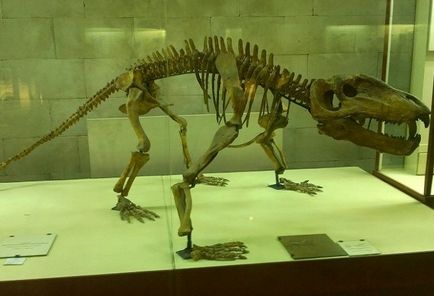 Excursie la muzeul paleontologic al dinozaurilor din trecut, clubul de călătorii