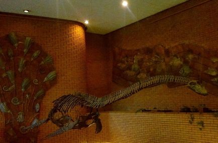 Excursie la muzeul paleontologic al dinozaurilor din trecut, clubul de călătorii