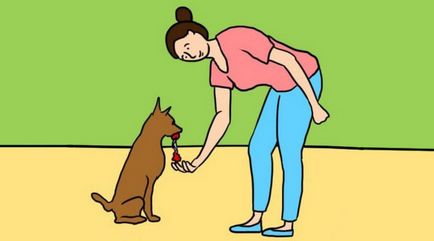 Dacă câinele îți linge picioarele