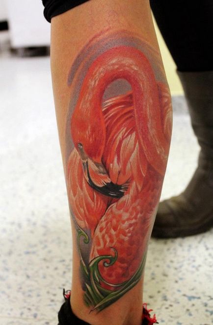 Fotografie și semnificația tatuaj roz flamingo