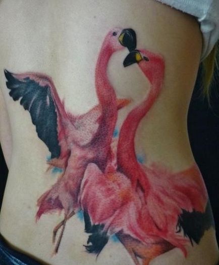 Fotografie și semnificația tatuaj roz flamingo