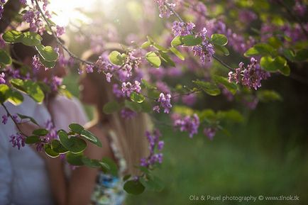 Фотосесія з кіньми - красива річна love-story