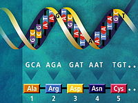 Codul genetic