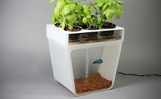 Hydroponics - Kiadványok - cikkek (hidrokultúrás) Hydroponics - Kiadványok - cikkek