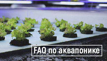 Hydroponics - Kiadványok - cikkek