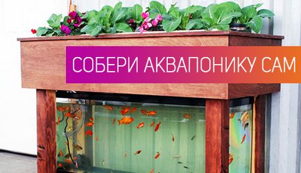 Hydroponics - Kiadványok - cikkek (hidrokultúrás) Hydroponics - Kiadványok - cikkek