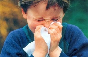 Dizzy az influenza, arcüreggyulladás, köhögés